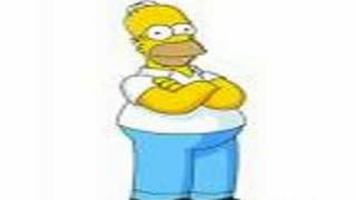 Homer-I am so smart
