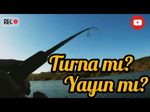 TURNA MI? YAYIN