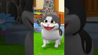 Billi Karti Meow Meow, बिल्ली करती म्याऊं म्याऊं  #hindirhymes #shorvideo #babysongs #fun #cartoon