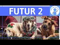 Futur 2 - Zeitformen im Deutschen 6 - Bildung, Regeln, Ausnahmen &amp; Beispiele - Deutsch Grammatik