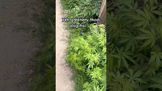 4:20 #himachal #mountains #420 #hippie #trance #tourism #explore #travel #trending #eminem #roadtrip