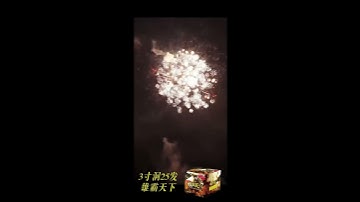 3寸洞25发雄霸天下