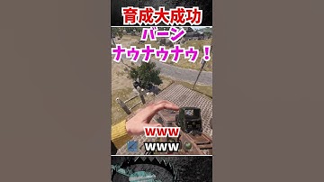 海外キッズ育成の末壊れる #rust  #黒炭酸