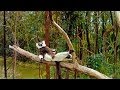 Island of Lemurs: Madagascar - TV Spot 2 [HD]