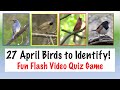 27 Fantastic April Birds, Fun Flash Video Quiz Game: April Edition