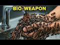 2030: The End of Natural Biology? AI Nanobots Integration (3D Simulation)