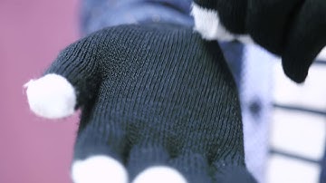 GPCT204 - Touch Screen Winter Gloves