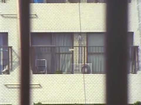 セーラー服反逆同盟 第14話 フォーカスの罠