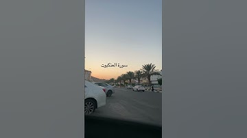 سورة العنكبوت بصوت الشيخ عبدالرحمن مسعد 🤍| #قرآن #قران_كريم #سورة_العنكبوت #عبدالرحمن_مسعد #🤍
