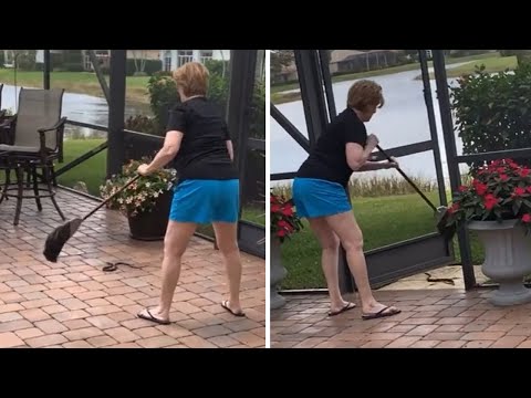 Grandma fearlessly removes snake from her property #Shorts