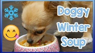 Easy DIY Winter Soup for Dogs! Homemade Chicken and Vegetable Soup for Dogs, Perfect for Winter!