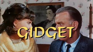 Classic TV Themes: Gidget (stereo) / New Gidget + BONUS!