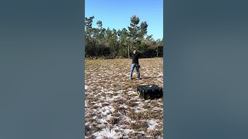 Harder than it looks. Hitting a moving target.