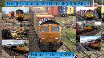 Class 66s on freight and regional passenger services at Whittlesea and March - Friday 24th Oct 2025