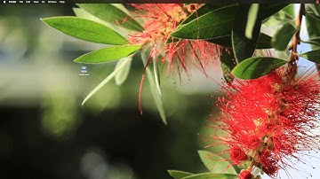 A Fix For El Capitan and Unresponsive Dock, App Switching and Issues