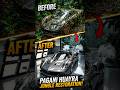 Abandoned Pagani Restored From Jungle 😱