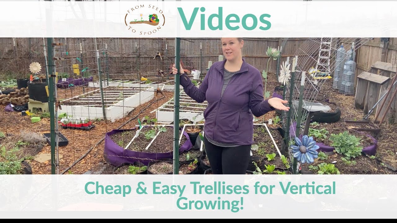 How To Make Cheap Easy Trellises For Growing Food Vertically Vertical Gardening Youtube How To Make Cheap Easy Trellises For Growing Food Vertically Vertical Gardening Youtube