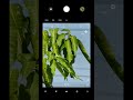 Poco x3 nfc mode pro