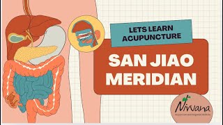 Download Lagu Let’s Learn- San Jiao Channel @NirvanaAIM MP3