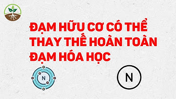 ĐẠM HỮU CƠ THAY THẾ HOÀN TOÀN ĐẠM HÓA HỌC??? SỰ THẬT THẾ NÀO?