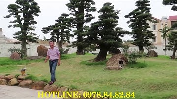 Cổng Cửa Cầu thang Lan can Hàng rào Hoa bông gió Giường ghế nhôm đúc tại Đức Cơ Gia Lai