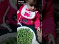 ياملاكي تروح حياتي فداكي نور الهدى