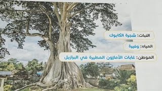 طرق تكيف النباتات 🌲🌴الدرس الثالث 💫 شجرة السنط والكابوك ⭐المانجروف ⭐الصنوبر ⭐زنبق الماء⭐والتين الشوكى