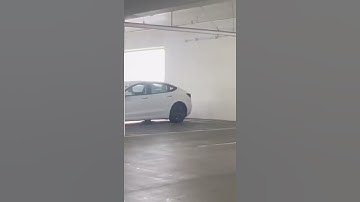 Flipper Zero Vs. Tesla