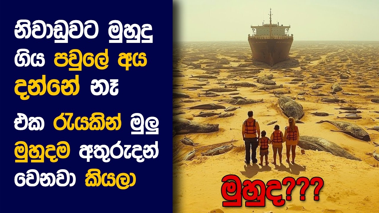 🎬 Surවයි​ව්: Movie Review Sinhala | Movie Explanation Sinhala | Sinhala Movie Review