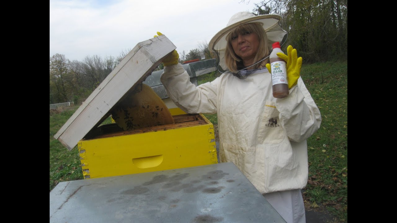 Organsko sredstvo protiv varoe