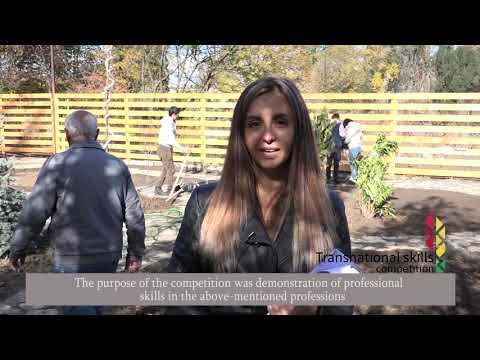 პროფესიული უნარების ტრანსნაციონალური კონკურსი კომენტარებით
