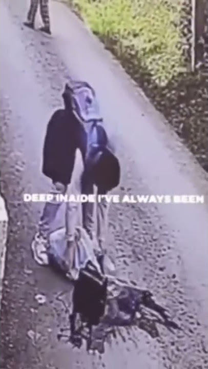Vídeo bizarro achado da deep web #shorts