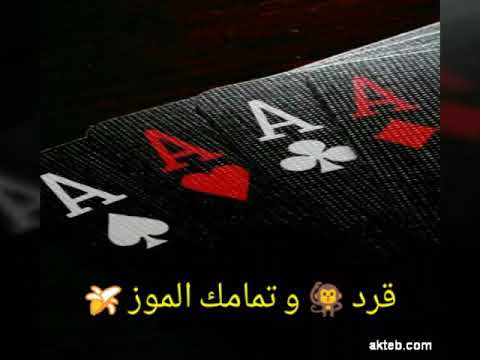 محمود كتكوت قرد وتمامك الموز