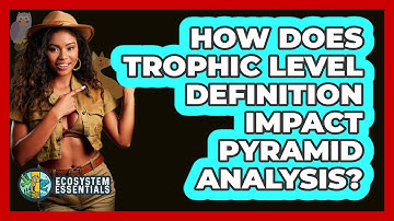 How Does Trophic Level Definition Impact Pyramid Analysis?