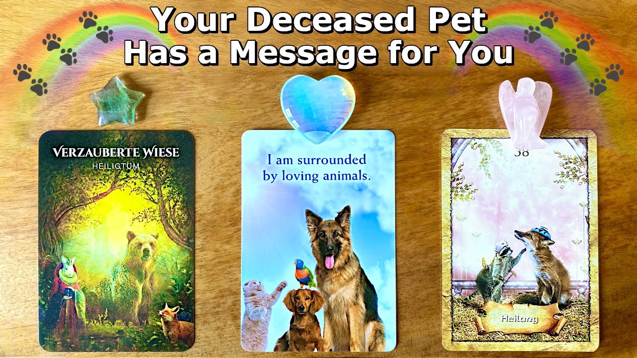 🌈🐾 Your Deceased Pet Has a Message for You 🌈🐾 Timeless Pick a Card Reading 🌈🐾