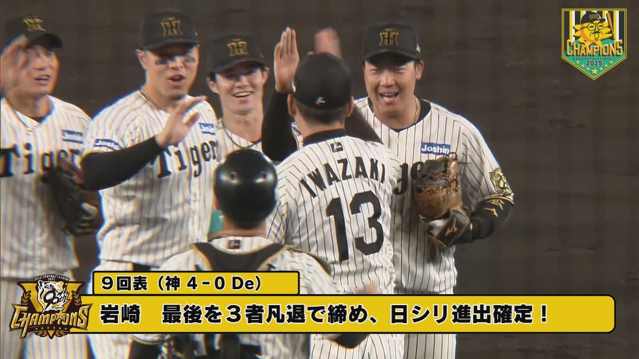 阪神 vs DeNA チケット 2025年5月28日(水) 子園 大人3枚