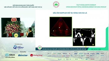 Siêu âm tim tại giường với bệnh nhân khó thở cấp - TS.BS. Khổng Nam Hương