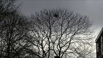 GPTV: Roeken verjagen in Leeuwarder wijken