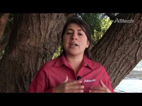 Cápsulas Nutricionales Alltech: