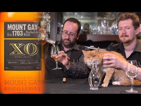 Video: Master Blender Mount Gay Rum Představuje Nové Směsi Pro Rok 2021