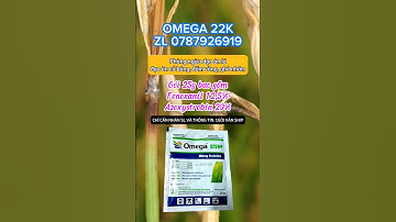 Đặc Trị Bệnh Đạo Ôn Lá Trên Cây Lúa, Bệnh Đạo Ôn Cổ Bông, Hoạt Chất Azoxystrobin, Fenoxanil