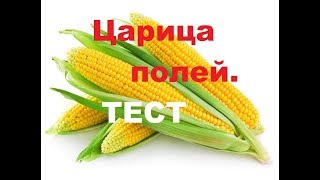 Царица полей. Тест. Эффективные микроорганизмы + Торфуша.