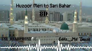 Huzoor Meri to Sari Bahar Heart Touching Naat /8D Naat - Hafiz Ahsan Qadri - Ramzan