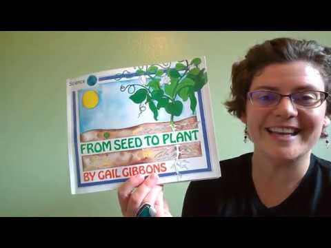 Read Aloud From Seed To Plant By Gail Gibbons Youtube