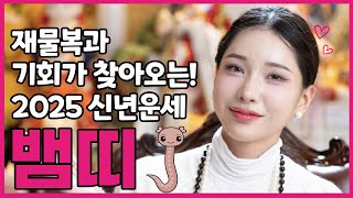 뱀띠 2025년 신년운세! 재물운과 함께 기회가 들어오는 을사년입니다! 건강 관리는 필수! 소호당 #용한점집…