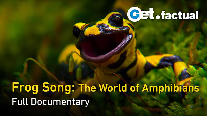 Frog Song: The World of Amphibians - Full Documentary - DayDayNews