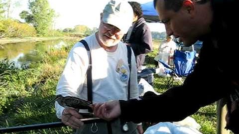 Alvaro Jaramillo Counts Snipe Feathers