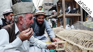 روایت کوچه کاه فروشی کابل | AFGARA Kabul Afghanistan