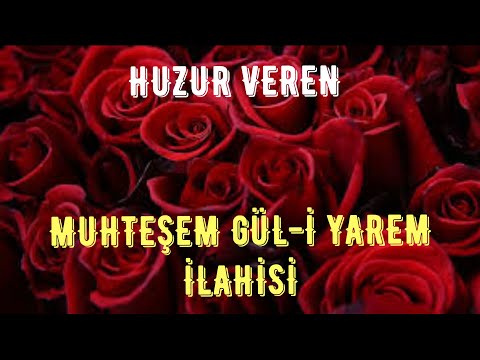 🌹🌹HUZUR VEREN MUHTEŞEM🌹🌹 GÜL-İ YAREM İLAHİSİ🌹🌹