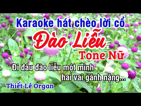 Đào Liễu Karaoke